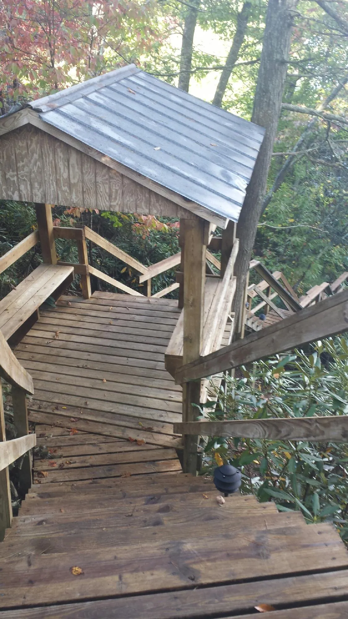 Metal roofed shelter over wooden steps on a wooded walkway — Skylight Repair & Installation work by our crew in Woodland Park