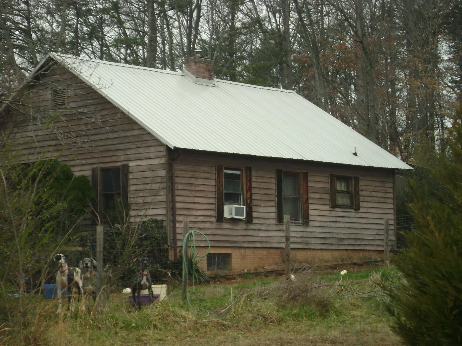 White metal roof on an old wood sided farmhouse, from a Asphalt Shingle Roof Repair job in Woodland Park
